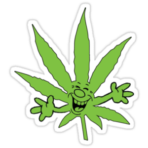 PLUTO RUNTZ 30% THC INDICA