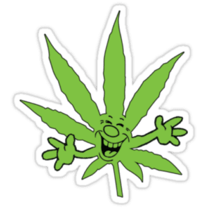 RS11 30% THC INDICA
