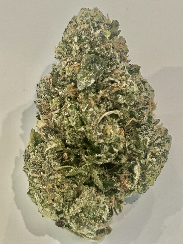 Memorial Day DEAL: Monster Cookies Top Shelf Indoor 