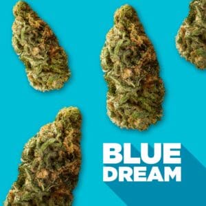 Blue Dream