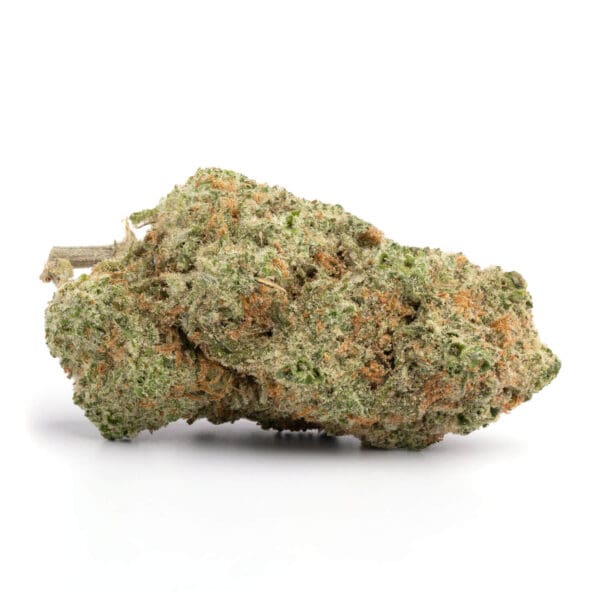 Tangerine Dream Top Shelf Indoor