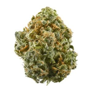Grape Gary Top Shelf Indoor 31% THC
