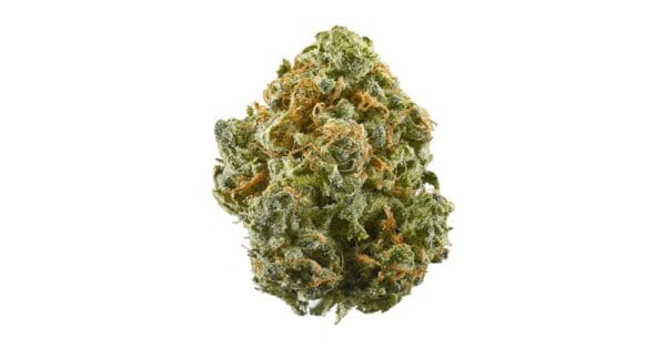 Grape Gary Top Shelf Indoor 31% THC
