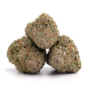 CHEESECAKE Indica  33% THC