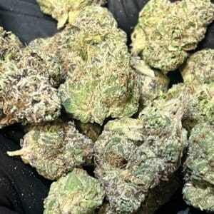 LEMON CHERRY PIE INDOOR/ TOP SHELF 40% THC