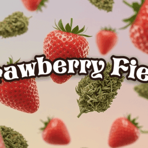 Strawberry Fields
