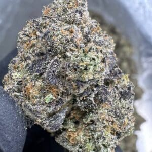 Super Runtz - INDOOR GROWN TOP SHELF