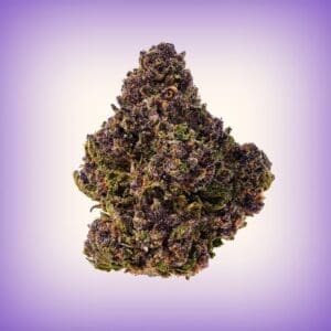 Grape Pie Top Shelf