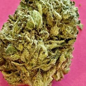 Pinnacle Greenhouse Grown