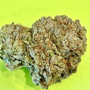 Kinglato Greenhouse Grown