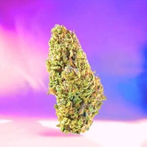 Tropical Gelato