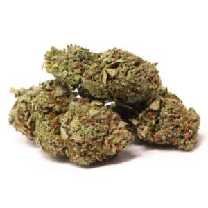 HINDU KUSH INDICA Green House Grown