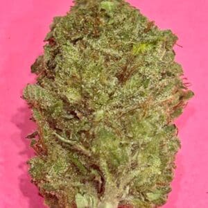 CHURRO GELATO - TOP SHELF 31% THC