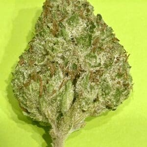 VIOLET FOG INDICA  32% THC TOP SHELF