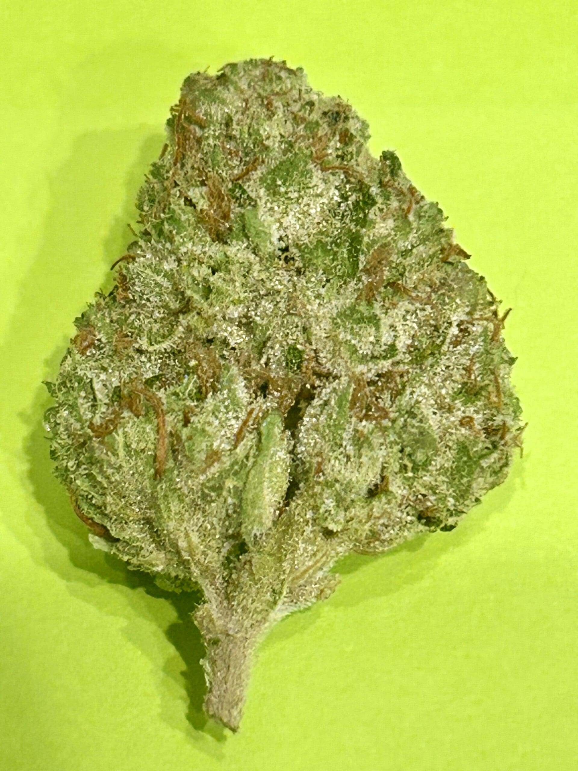 VIOLET FOG INDICA 32% THC TOP SHELF