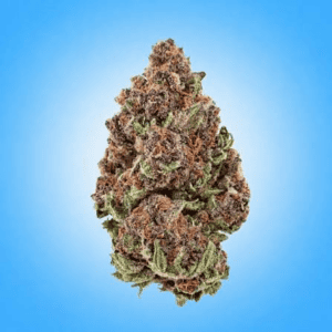 CRUNCH BERRIES INDICA 32% THC