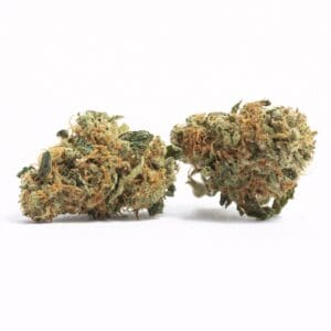 COSMIC Sativa 31% THC